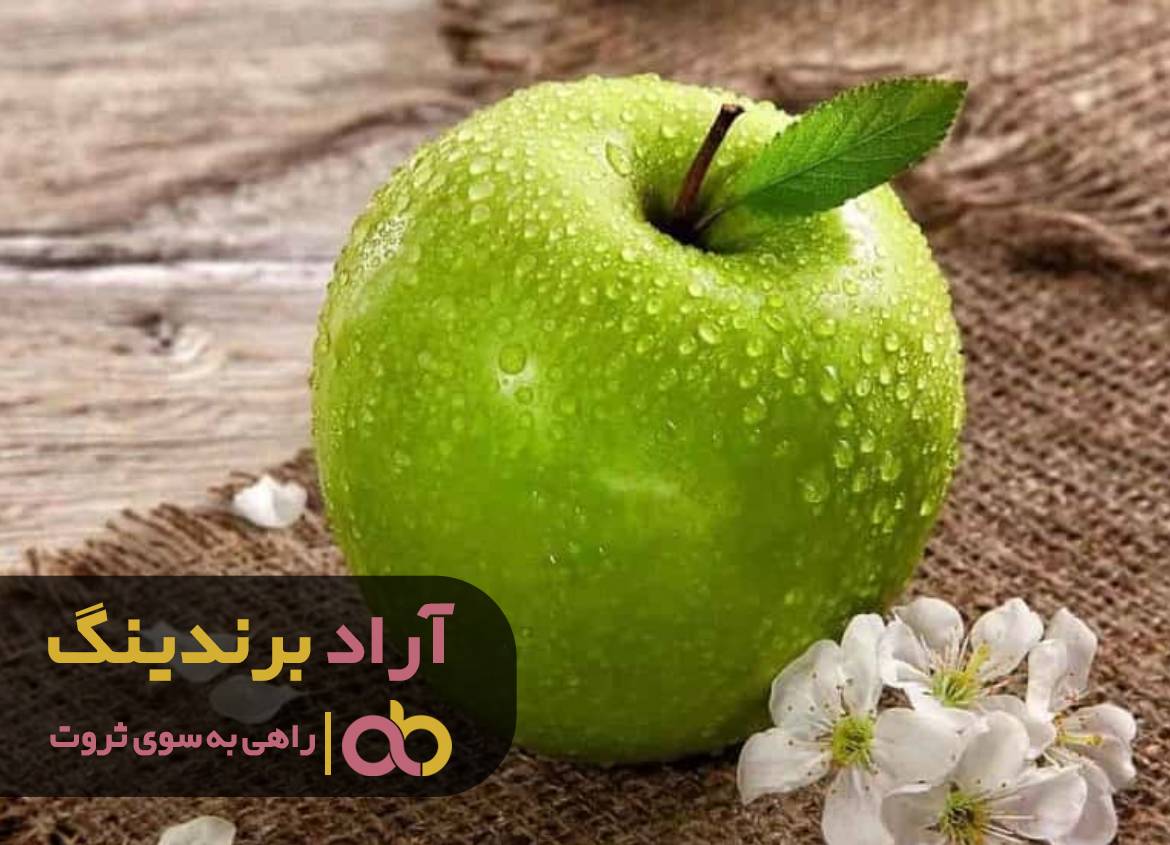 با این روش در ثروت سازی به درجه استادی رسیدم