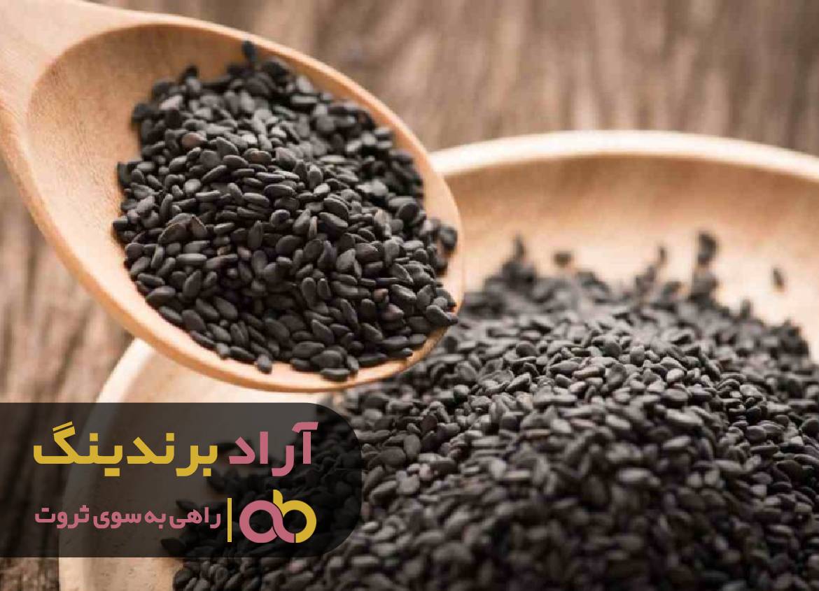 ماهی را از دریای ثروت صید کردم