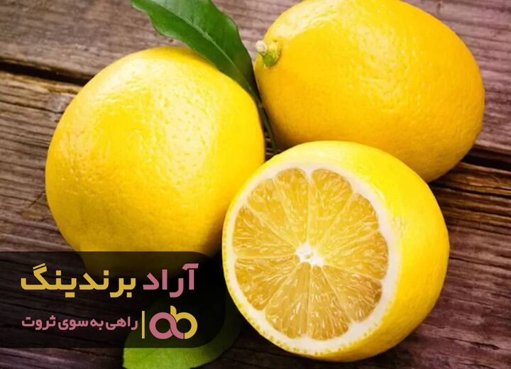 با این روش در ثروت سازی به درجه استادی رسیدم