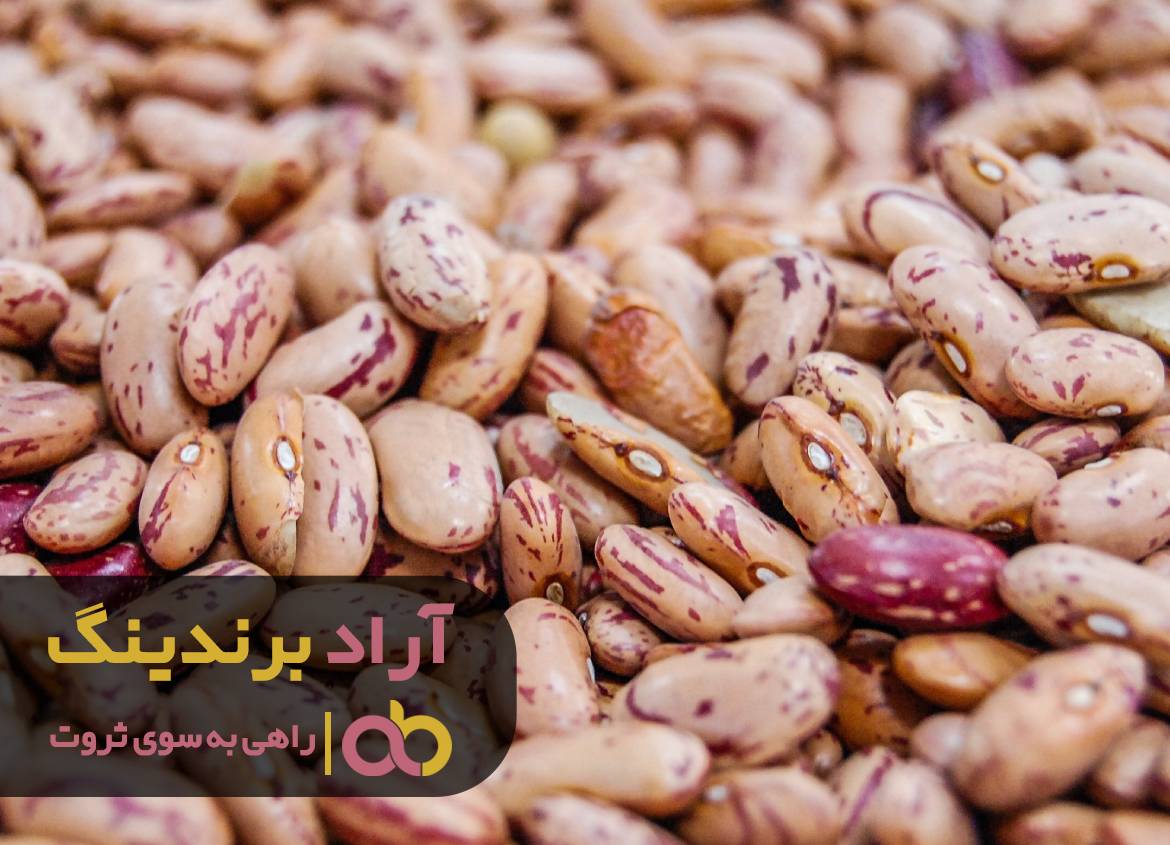 کسب و کار پولسازم را ساختم