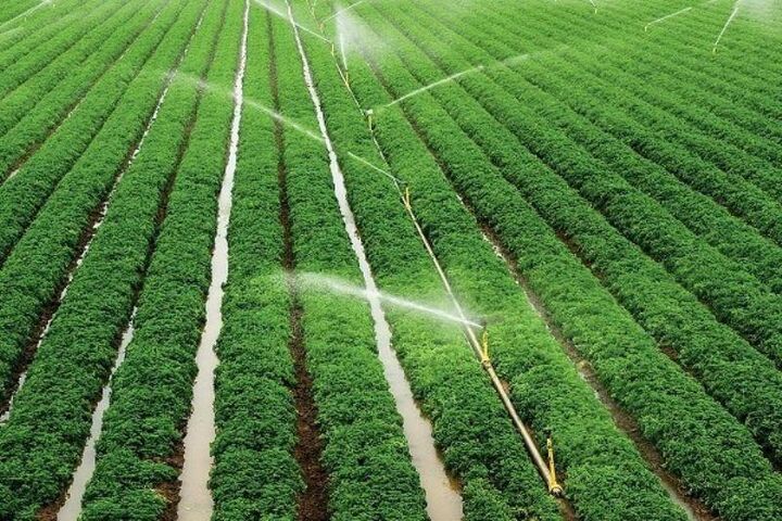 قیمت آب کشاورزی ۴۰ تومان می‌شود