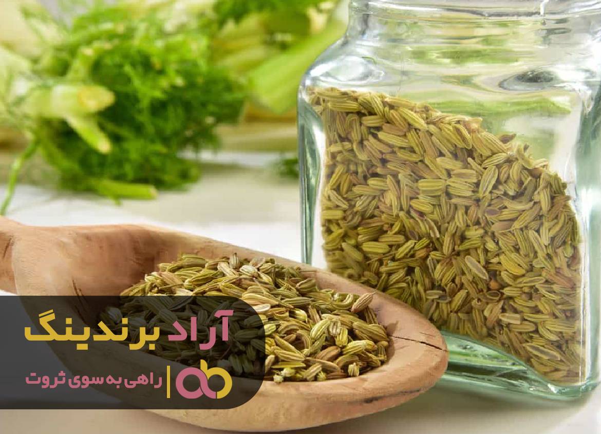 با پول در دریای آرزوهایم غوطه ور شدم