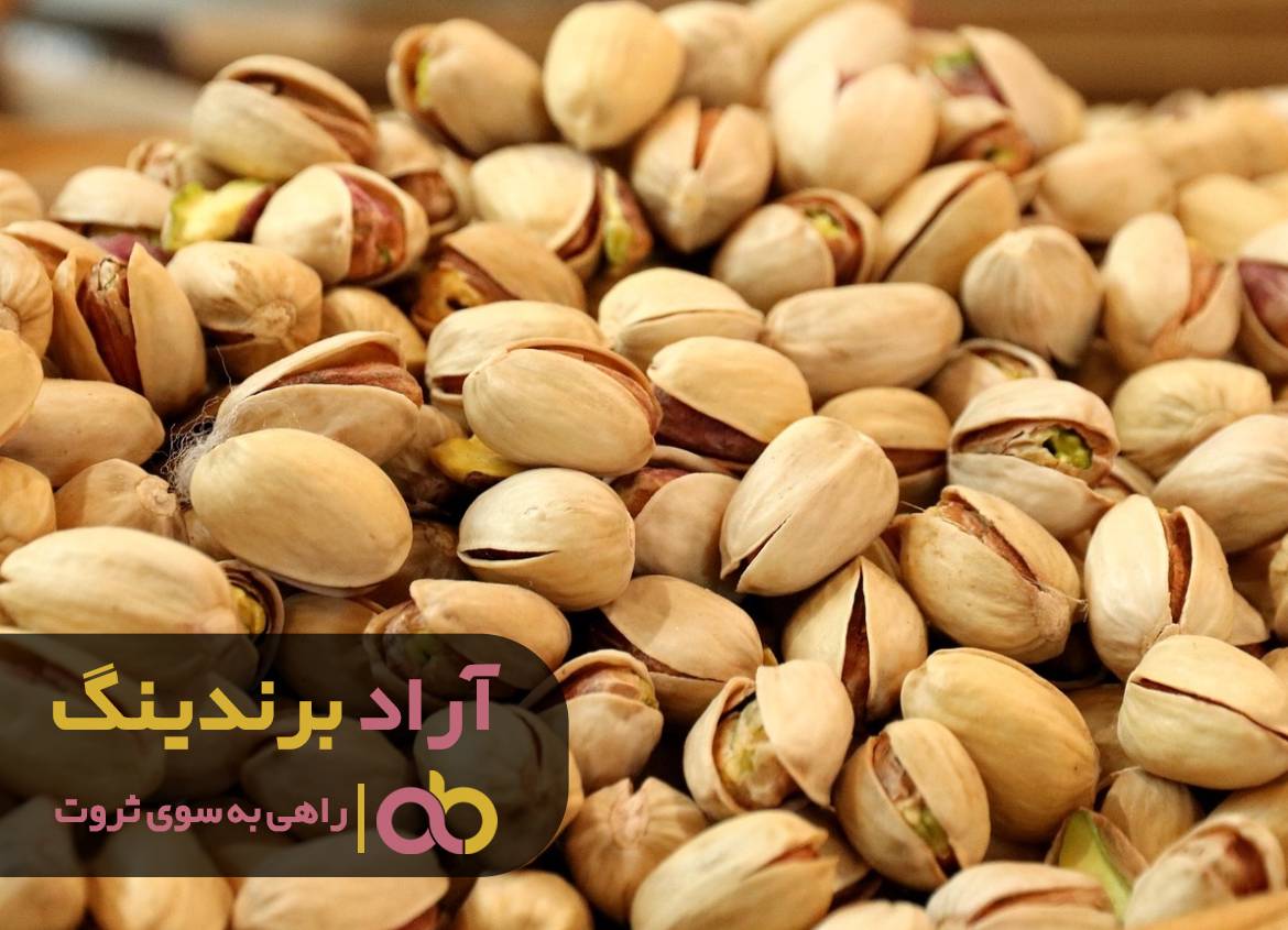 تبل ثروتم را به صدا درآوردم