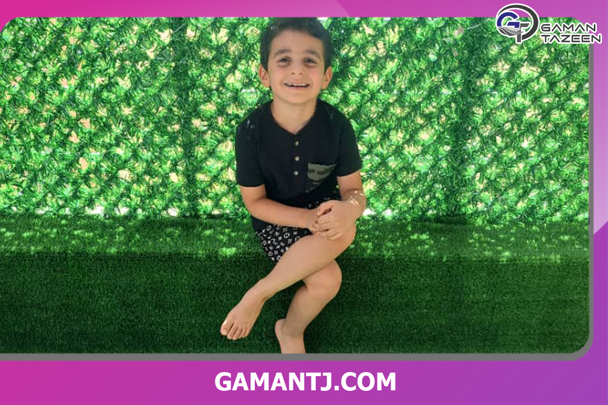 فنس چمنی چیست