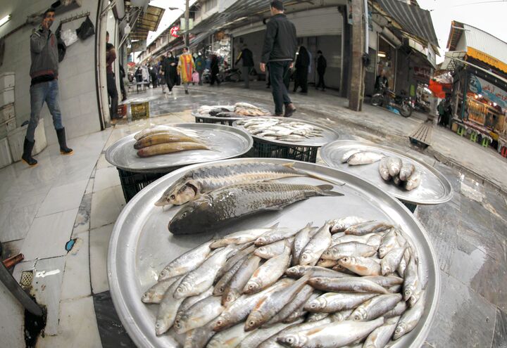 قیمت انواع ماهی ۱۳ دی ۱۴۰۲