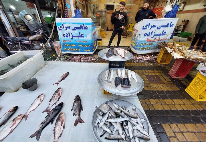 قیمت انواع ماهی ۱۶ مهر ۱۴۰۵