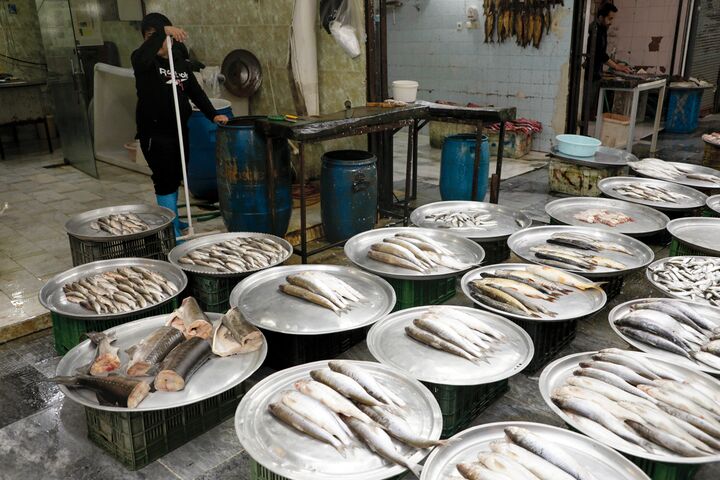 قیمت انواع ماهی ۵ اردیبهشت ۱۴۰۳