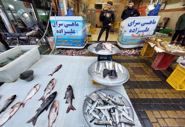 قیمت انواع ماهی ۱۶ تیر ۱۴۰۵ قیمت انواع ماهی ۱۶ تیر ۱۴۰۵