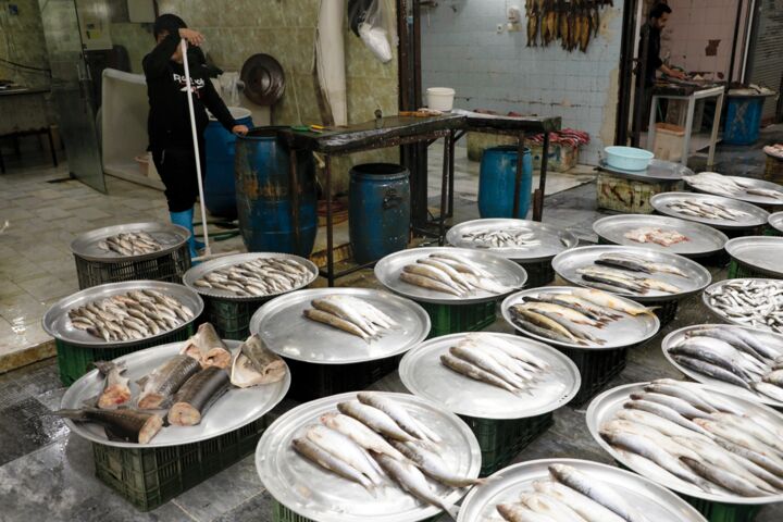 قیمت انواع ماهی ۲۰ بهمن ۱۴۰۱