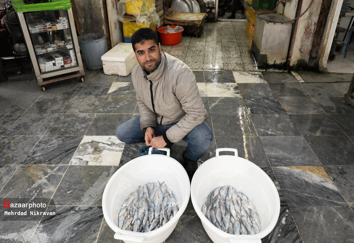 نبض بازار ماهی مازندران در دست دوره‌گردها