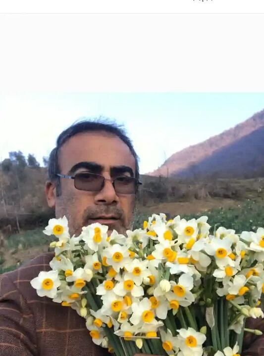 کشت گل نرگس در اراضی شیبدار مانع فرسایش خاک می شود کشت گل نرگس در اراضی شیبدار مانع فرسایش خاک می شود