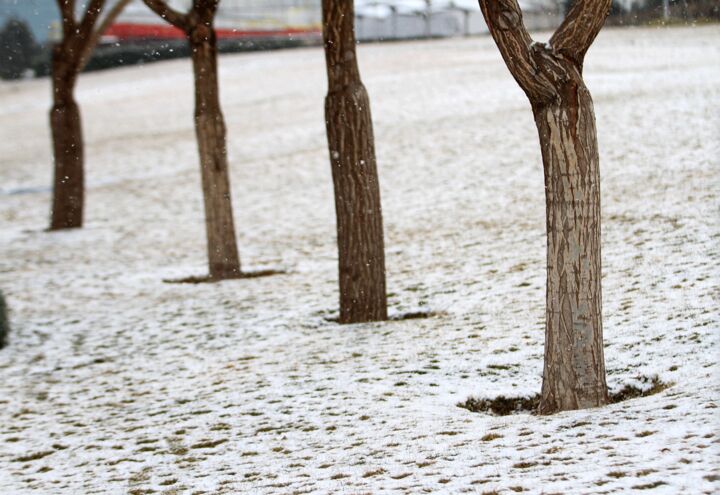سفیدپوشی اکثر قلل نیمه شمالی تا ۱۰ روز آینده!