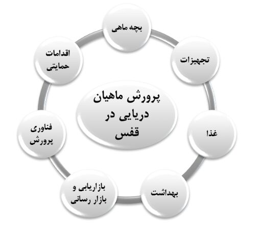غفلت از صنعت ارز آور پرورش ماهی در قفس| اقتصاد دریامحور در گیر و دار مشکلات