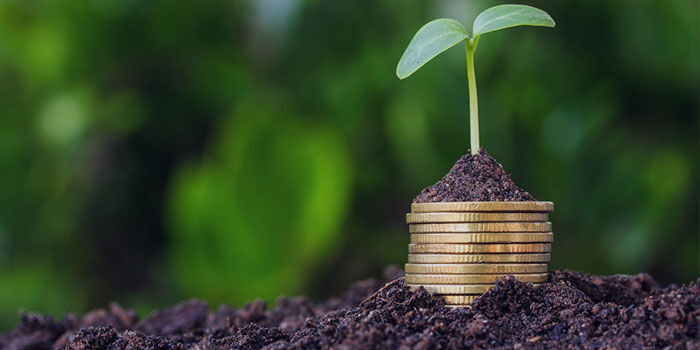 پرداخت ۶ هزار میلیارد تومان به صندوق بیمه محصولات کشاورزی پرداخت ۶ هزار میلیارد تومان به صندوق بیمه محصولات کشاورزی