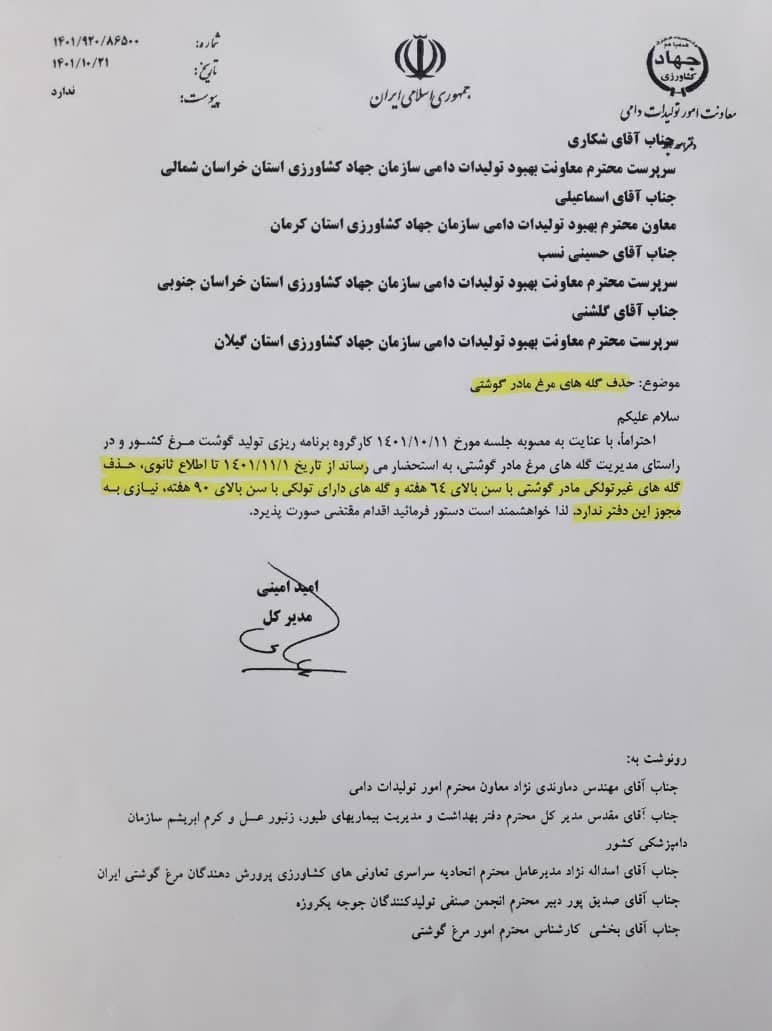 اجازه به مرغداران برای حذف گلههای مرغ مادر گوشتی بالای ۶۴ هفته