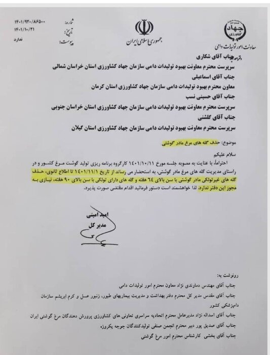 آغاز حذف گلههای مرغ مادر گوشتی بالای ۶۴ هفته