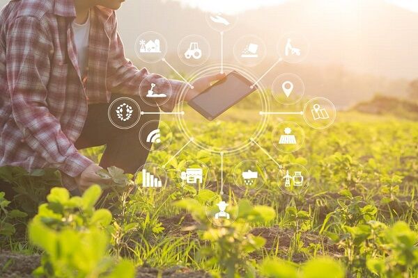 نقش اقتصاد دیجیتال در جلوگیری از احتکار و دلالی محصولات کشاورزی