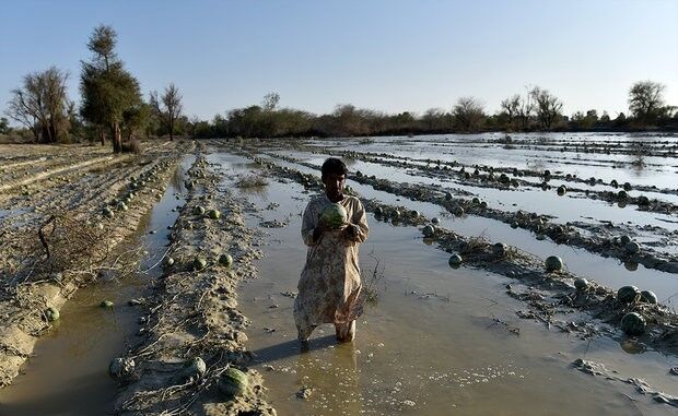 دست کشاورزان گلستانی به آسمان | زارعان امیدی به بیمه ندارند