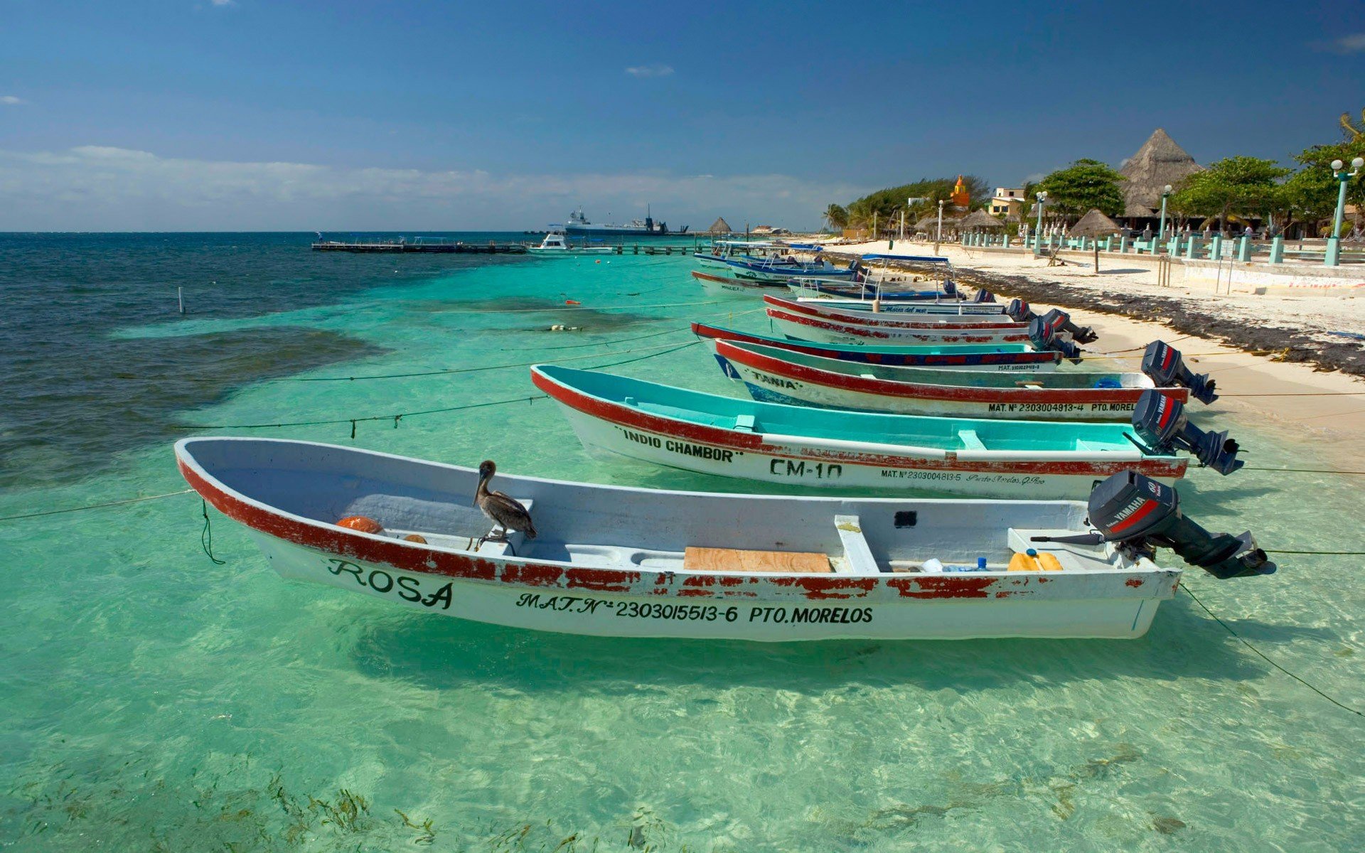 مزیت ها و معایب رزرو تور کیش ارزان دقیقه ۹۰