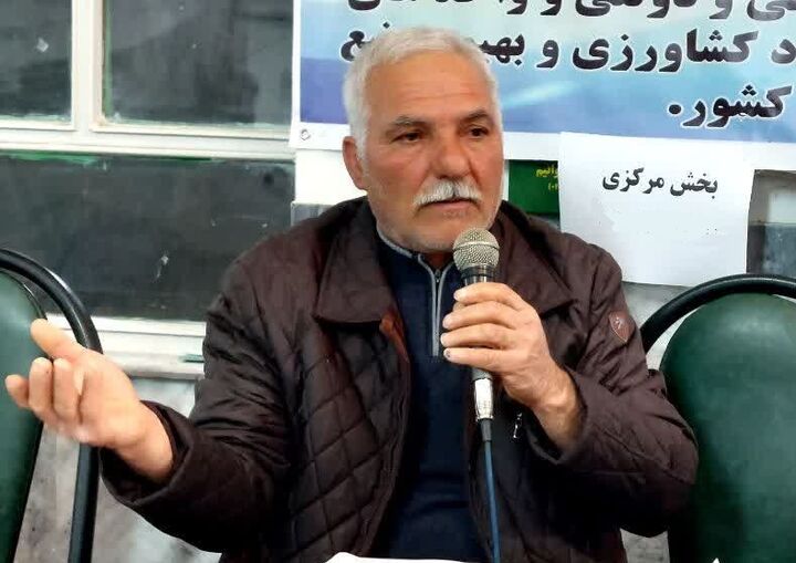 قیمتگذاری گندم نیازمند «تجدید نظر» است  قیمتگذاری گندم نیازمند «تجدید نظر» است