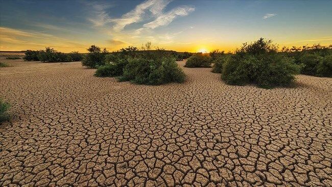 دمای کشور نسبت به ۵۰ سال گذشته ۲ درجه افزایش نسبی داشته است دمای کشور نسبت به ۵۰ سال گذشته ۲ درجه افزایش نسبی داشته است
