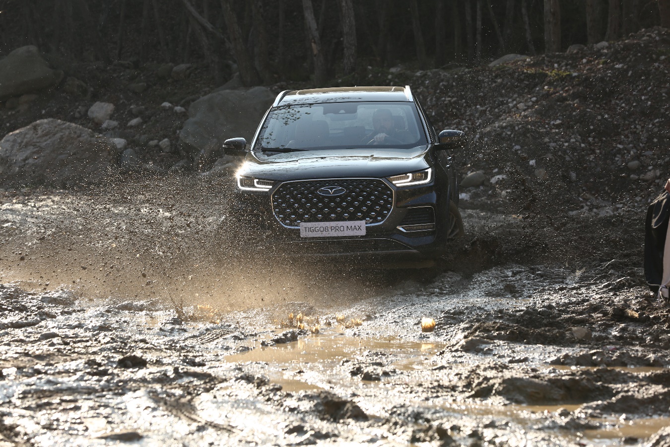 غول دو دیفرانسیل در کنار آقای بازیگر