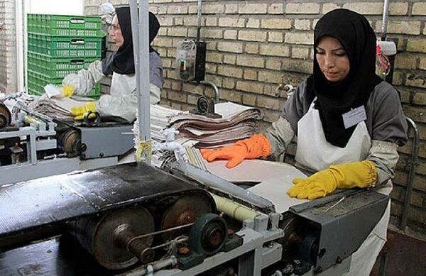 ۱۳ هزار شغل جدید برای مددجویان استان بوشهر ایجاد شد