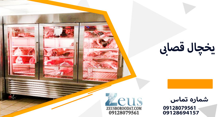 یخچال قصابی ایستاده