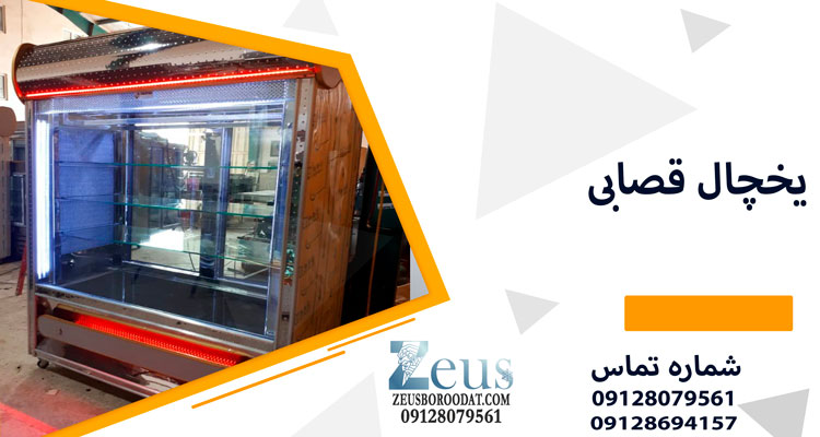 یخچال قصابی ایستاده