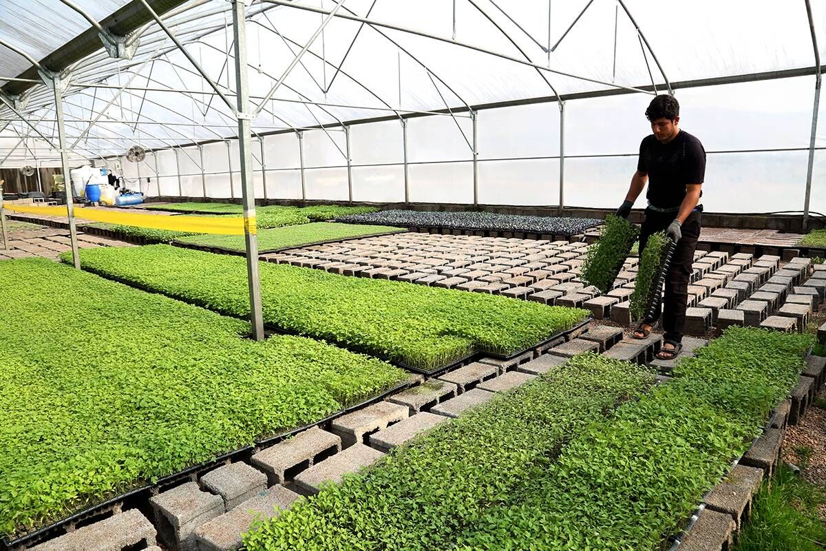 «مدیریت هوشمند»؛ نیاز بازار کار در مازندران