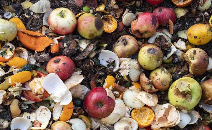 سالانه ۱۳۰ میلیون تن از تولیدات کشاورزی ضایع میشود سالانه ۱۳۰ میلیون تن از تولیدات کشاورزی ضایع میشود