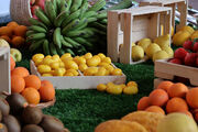 نخستین نمایشگاه بین‌المللی میوه و سبزیجات ایران