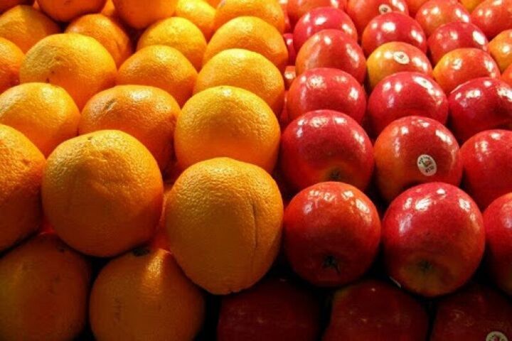 صادرات پرتقال ادامه دارد| ذخیره پرتقال مازاد بر نیاز در سردخانه‌ها