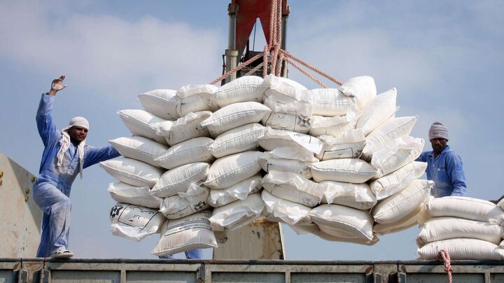 هدر رفت۱۰۰ میلیون تن آرد در ایران؛ گمشده خوراک فردای دامداری ها| نان در هر صورت گران می شود هدر رفت۱۰۰ میلیون تن آرد در ایران؛ گمشده خوراک فردای دامداری ها| نان در هر صورت گران می شود