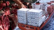 قطب صادرات در دام واردات| واکاوی نقش دولت در افزایش قیمت گوشت