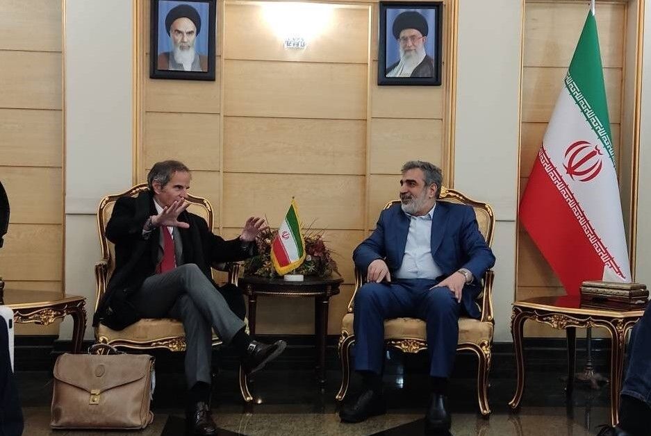 صدور قطعنامه علیه ایران توسط شورای حکام محتمل نیست| افزایش نظارت آژانس در فردو امری طبیعی است