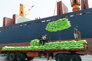 واردات استان قزوین ۴۶ درصد رشد کرد