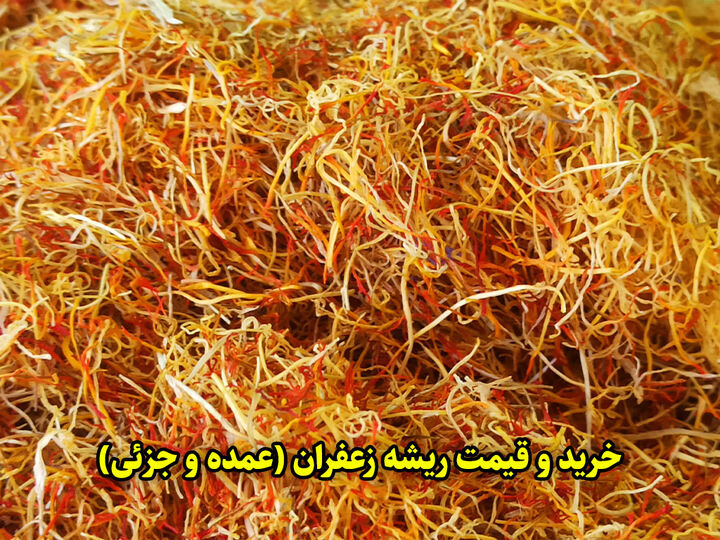خرید و قیمت روز ریشه زعفران【عمده و جزئی】 خرید و قیمت روز ریشه زعفران【عمده و جزئی】