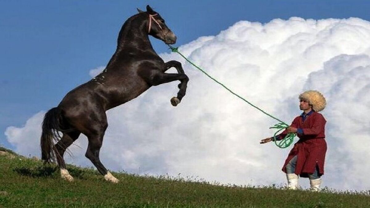 «ترکمن صحرا» سرزمینی ناشناخته | سفری مقرون بهصرفه را در ایران تجربه کنید