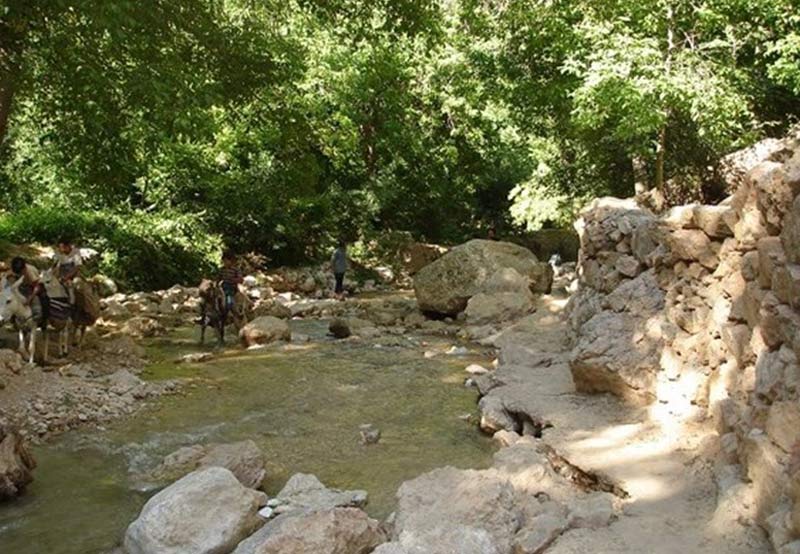 گردشگری ارزان با طبیعت گردی در خراسان رضوی| «اخلمد» بهشت گمشده بینالود