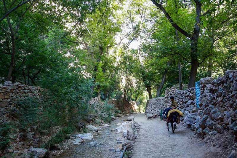 گردشگری ارزان با طبیعت گردی در خراسان رضوی| «اخلمد» بهشت گمشده بینالود