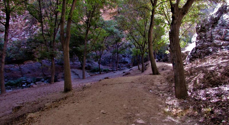 گردشگری ارزان با طبیعت گردی در خراسان رضوی| «اخلمد» بهشت گمشده بینالود