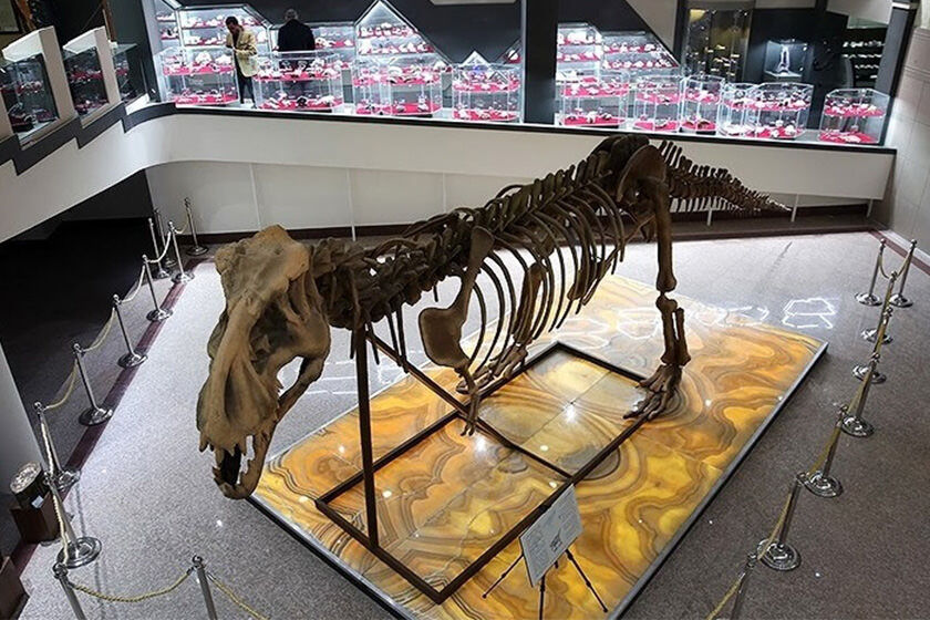 خراسان رضوی رنگین کمان موزه| اقتصاد گردشگری در موزهها پنهان مانده است