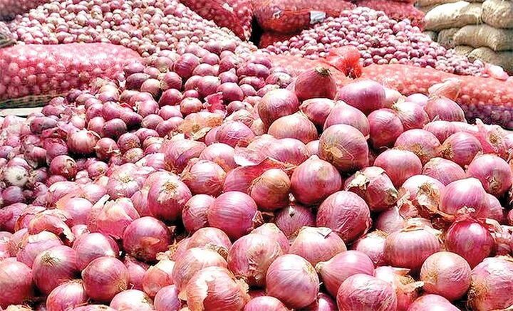 خرید تضمینی پیاز در سیستان و بلوچستان آغاز شد