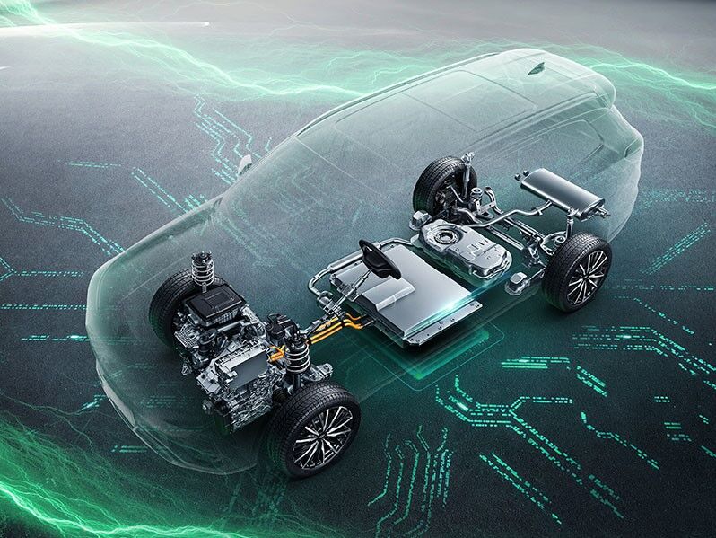 فونیکس دوستدار محیط زیست