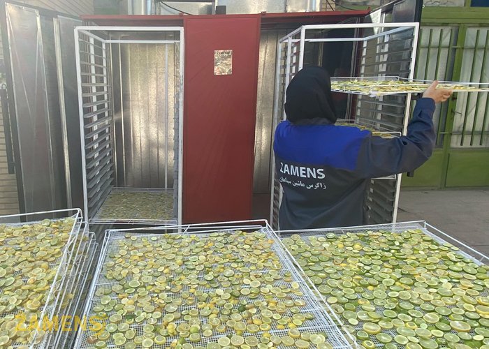 راه اندازی خط تولید میوه خشک زمینه ساز ایجاد اشتغال برای بانوان می باشد.