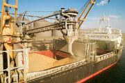 فرصت طلایی برای تبدیل شدن ایران به هاب صادرات غلات روسیه