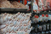 قیمت انواع مرغ ۱۷ اردیبهشت ۱۴۰۳