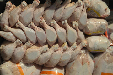 صادرات مرغ به ۴ هزار تن رسید