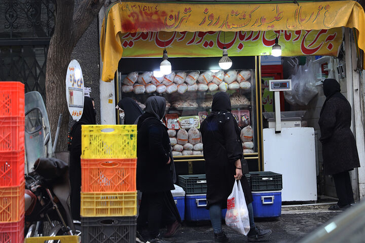 نیازی به واردات مرغ منجمد نیست